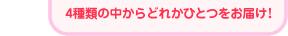 4種類の中からどれかひとつをお届け！