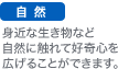 自然　身近な生き物など
自然に触れて好奇心を広げることができます。